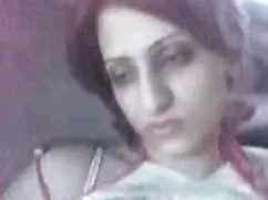 স্থাপত্য পেইন্ট শিল্ ...