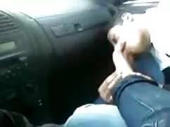 স্বর্ণকেশী সুন্দরী ব ...