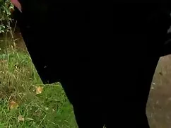 চরম, বাঁড়ার রস এইচড ...
