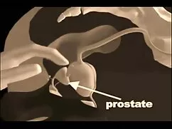 বাঁড়ার রস খাবার বাং ...