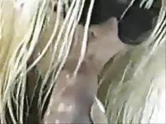 সুন্দরী চুদাচুদির বি ...